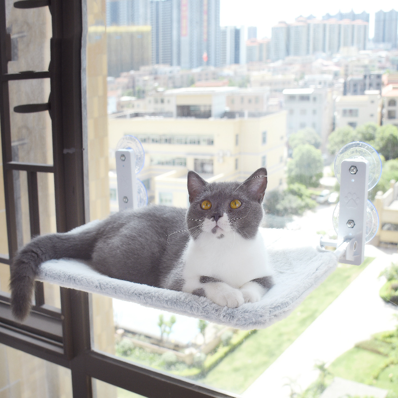 Window Hammocks for cozy Cats