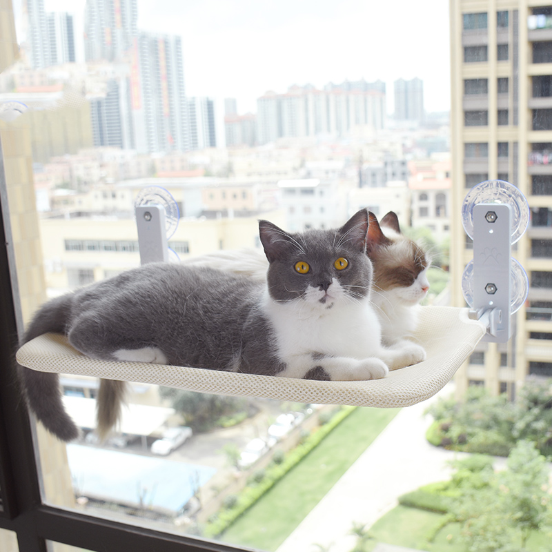 Window Hammocks for cozy Cats