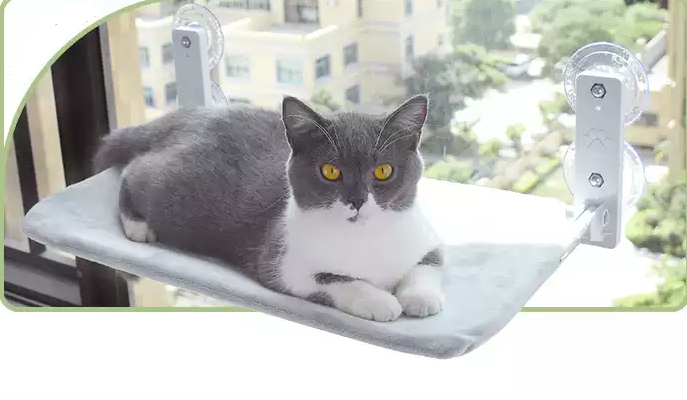Window Hammocks for cozy Cats